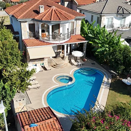 Stunning Ahmet In *